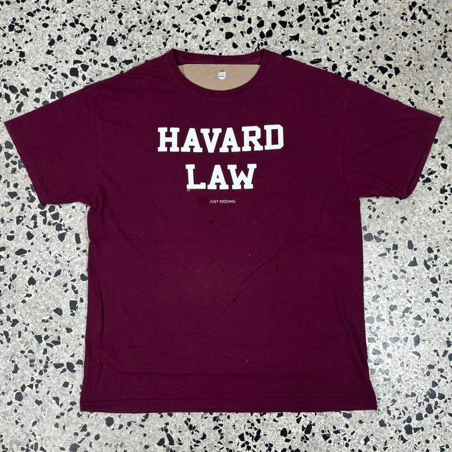 VINTAGE Y2K HARVARD LAW just kidding COLLEGE HUMOR TEE: