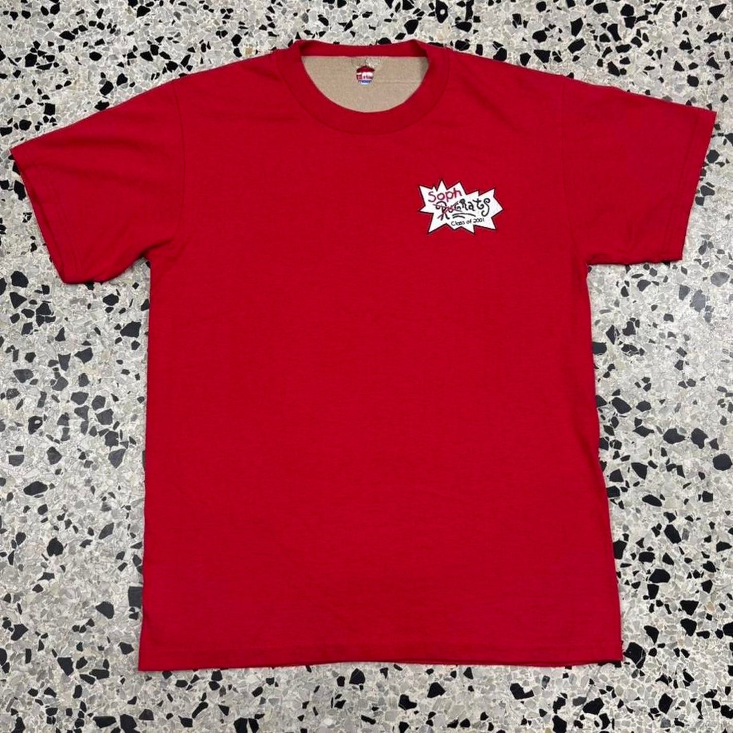 VINTAGE Y2K CLASS OF 2001 SOPHRATS RUGRATS PARODY TEE: