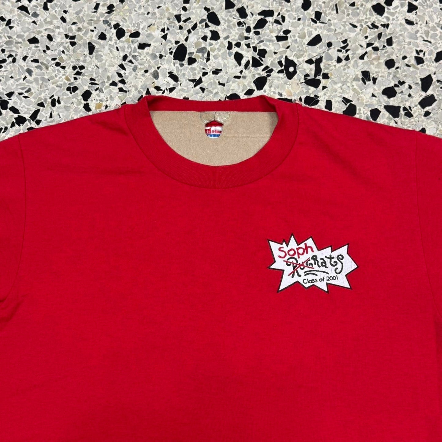 VINTAGE Y2K CLASS OF 2001 SOPHRATS RUGRATS PARODY TEE: