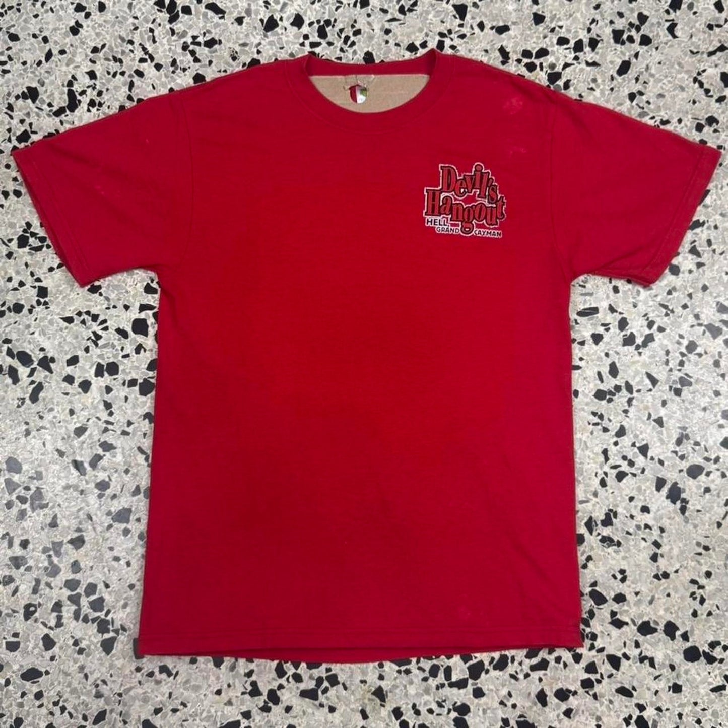 VINTAGE Y2K DEVIL’S HANGOUT GRAND CANYON TOURIST TEE:
