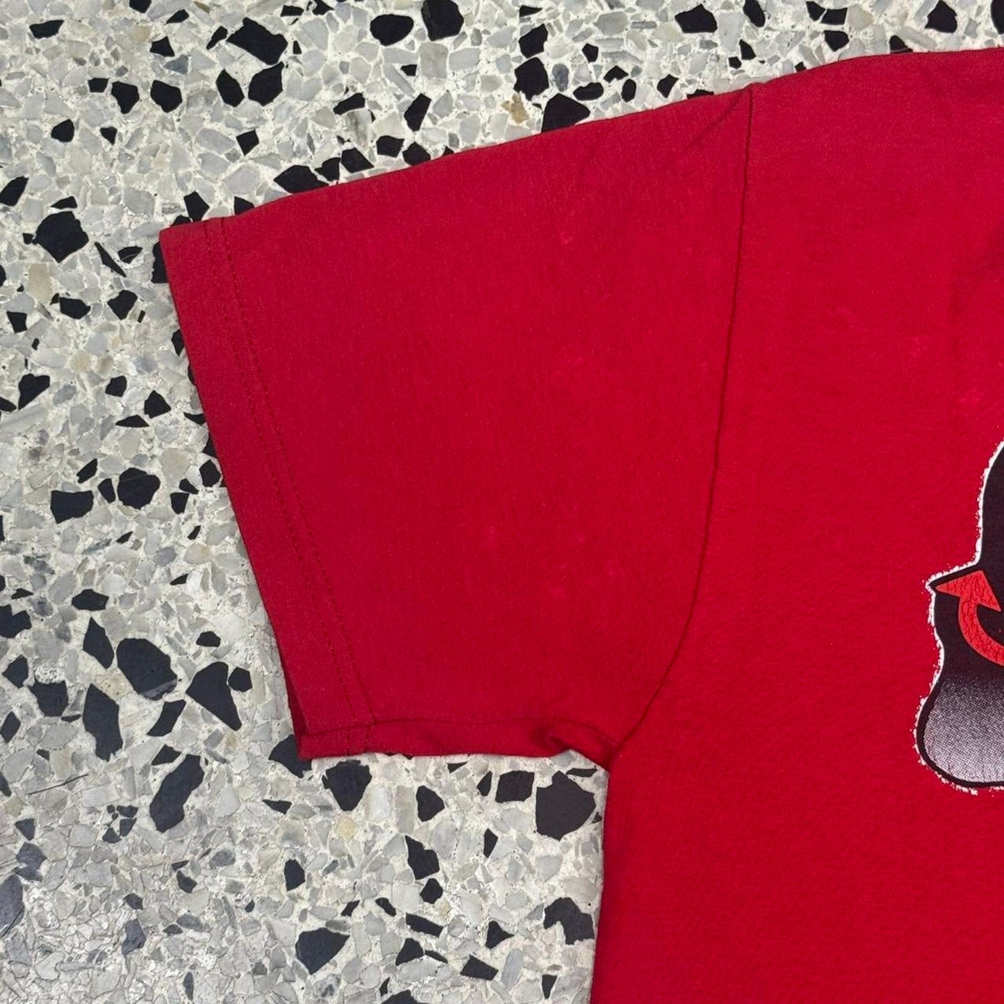 VINTAGE Y2K DEVIL’S HANGOUT GRAND CANYON TOURIST TEE: