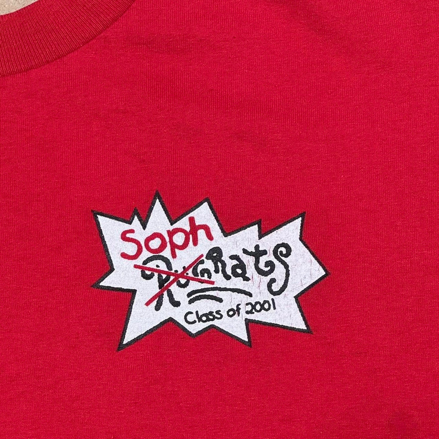 VINTAGE Y2K CLASS OF 2001 SOPHRATS RUGRATS PARODY TEE: