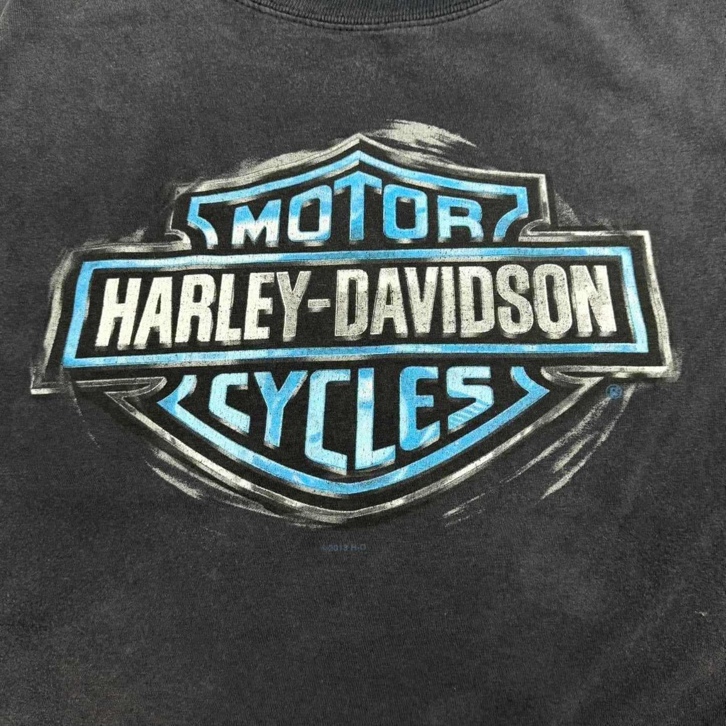 VINTAGE Y2K HARLEY DAVIDSON BLUE EMBLEM X BOSTON HARLEY DAVIDSON TEE: