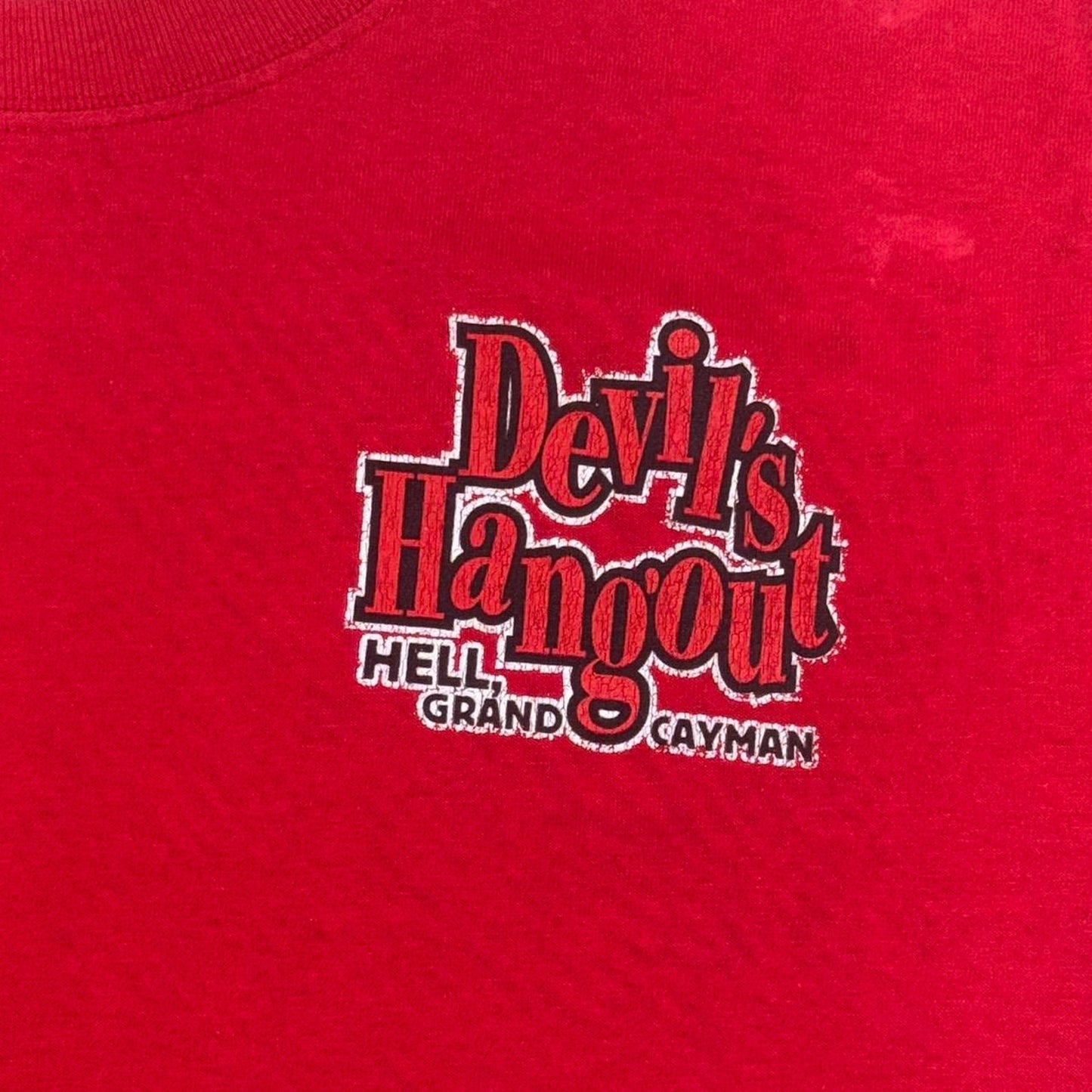 VINTAGE Y2K DEVIL’S HANGOUT GRAND CANYON TOURIST TEE: